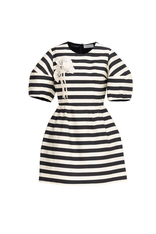 Lined Romance Mini Dress