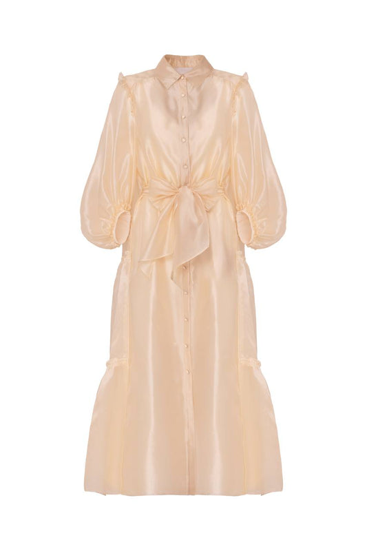 Champagne Dream Dress