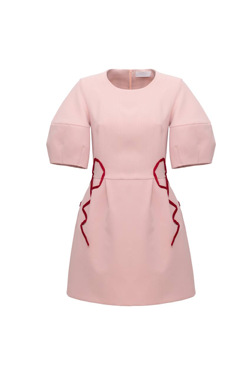 Blush Bow Mini Dress